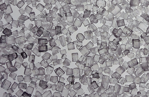 Sugar © Martyn4 (flickr.com/photos/martyn404)